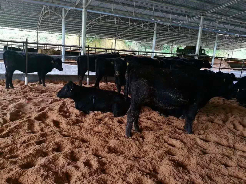 1636890312100231.jpg 微信图片_20190704180157_副本.jpg