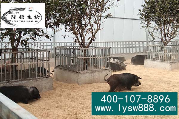 1637288311141365.jpg 未标题-2.jpg