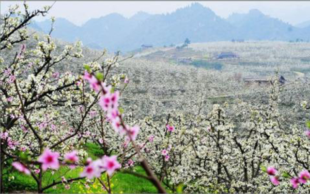 有机肥发酵剂厂家