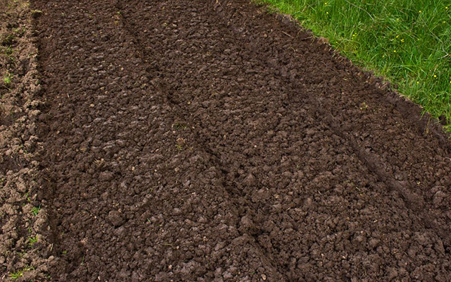 生物有机肥发酵剂